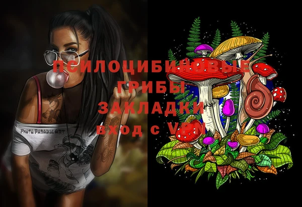 гашиш Арсеньев