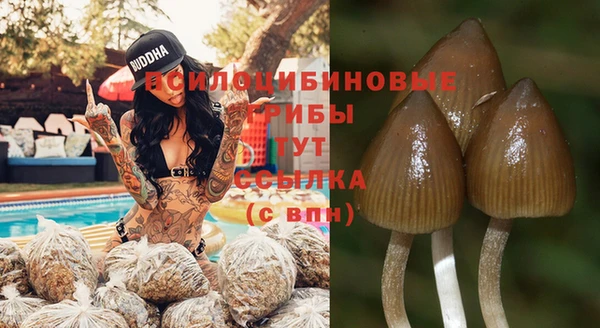 дживик Зерноград