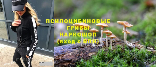 гашиш Арсеньев