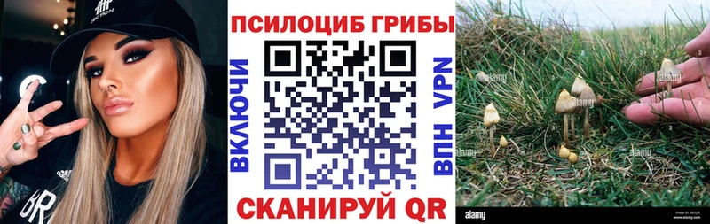 Псилоцибиновые грибы мухоморы Ясногорск