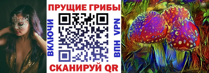 Галлюциногенные грибы Psilocybine cubensis  даркнет сайт  Ясногорск 